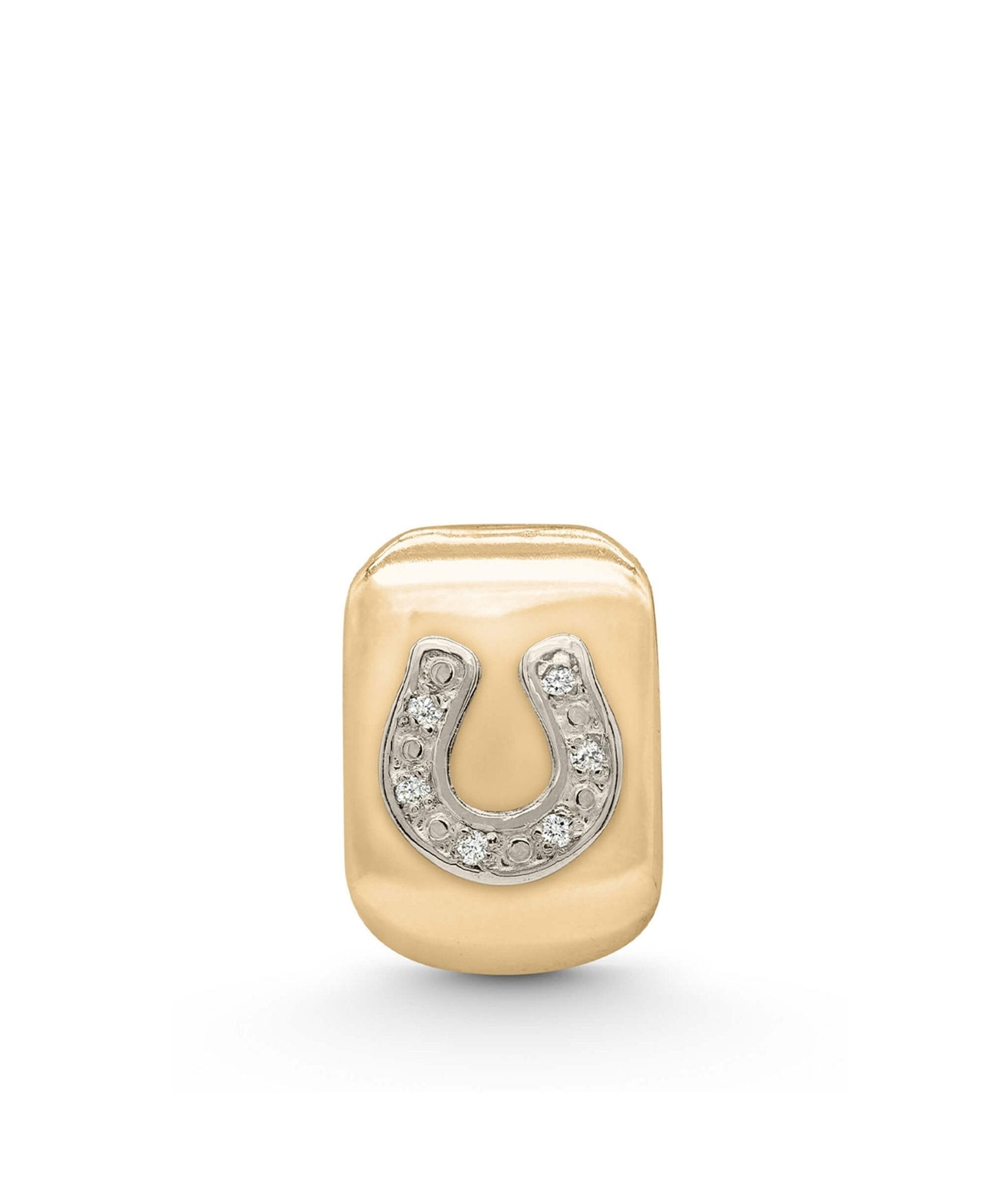 Good Fortune Horseshoe Amulet