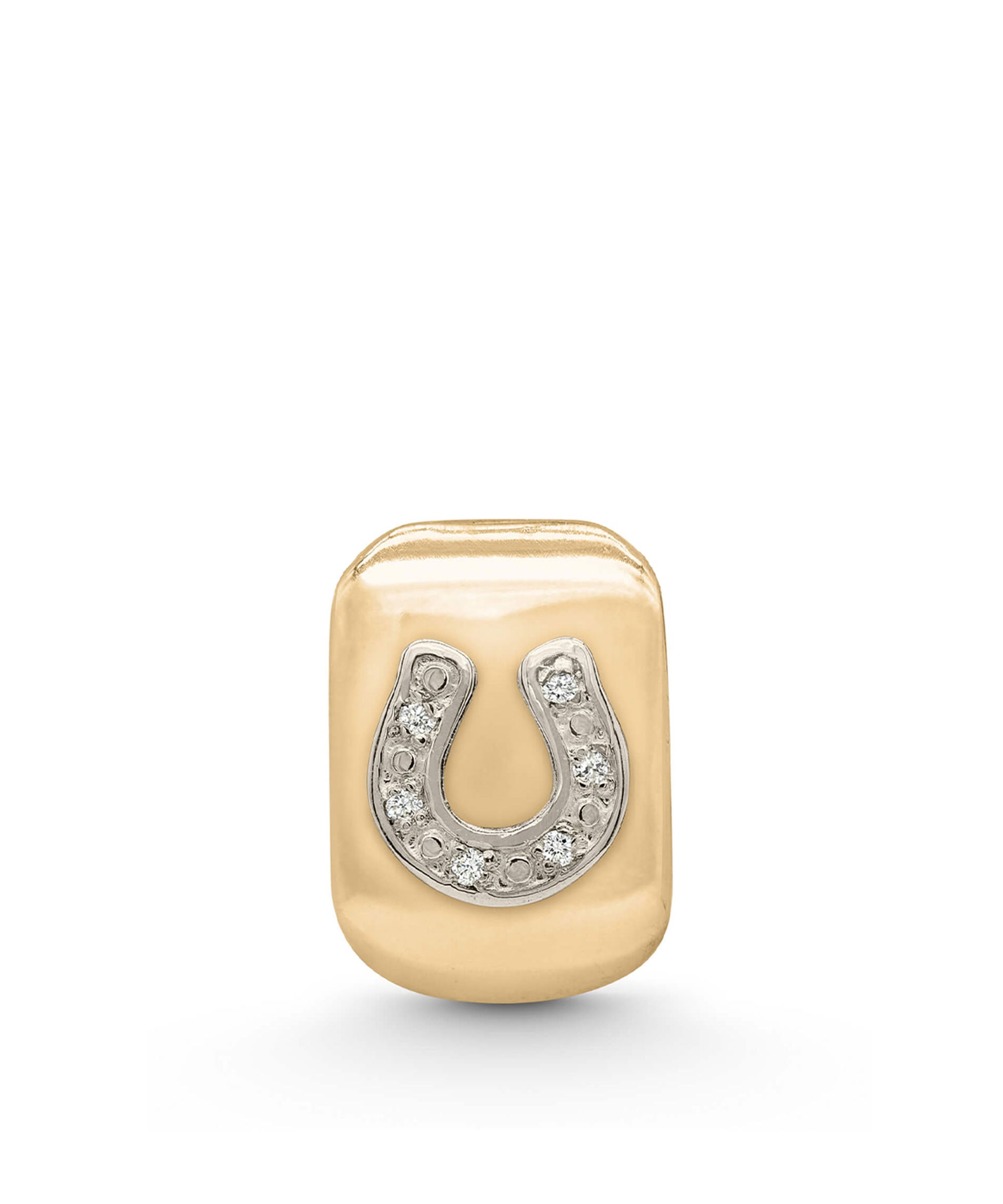 Good Fortune Horseshoe Amulet