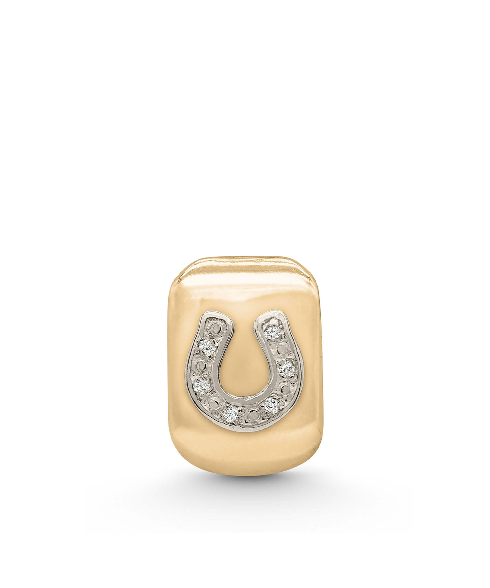 Good Fortune Horseshoe Amulet