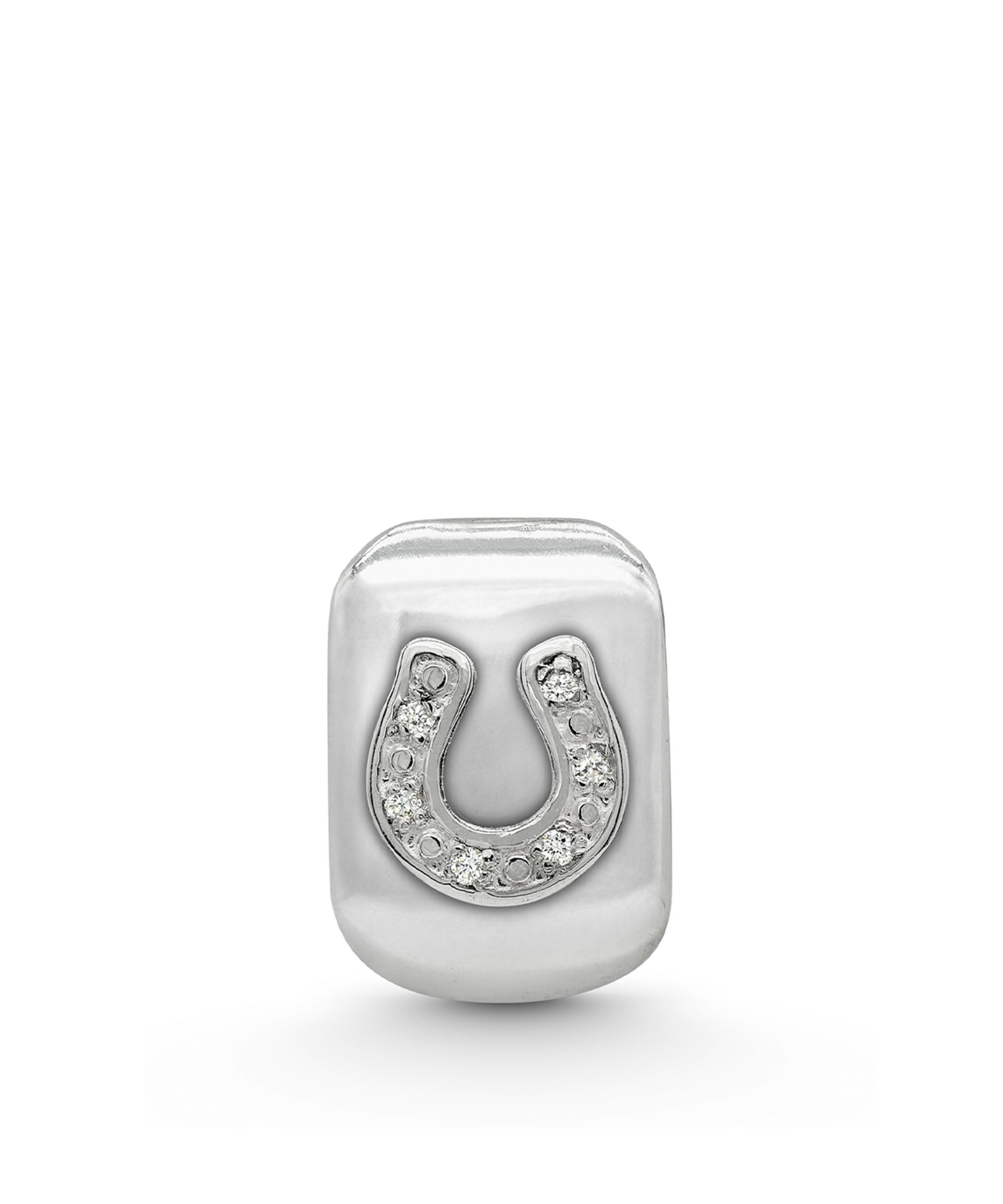 Good Fortune Horseshoe Amulet