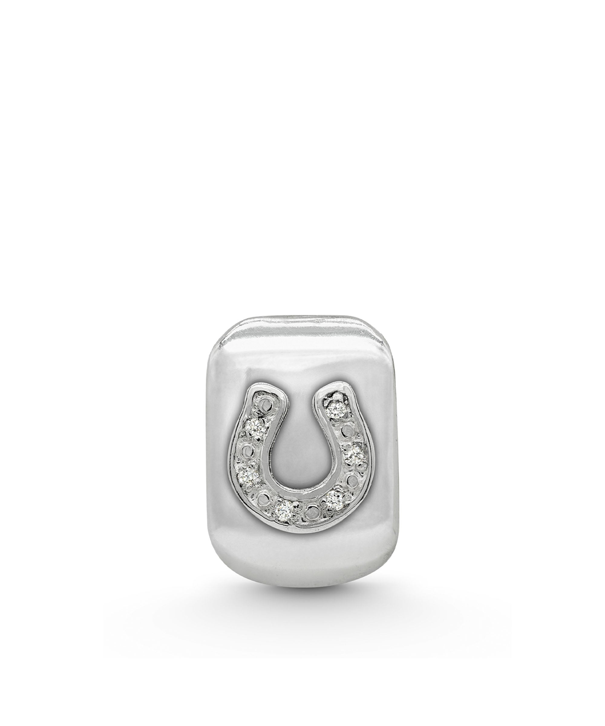 Good Fortune Horseshoe Amulet
